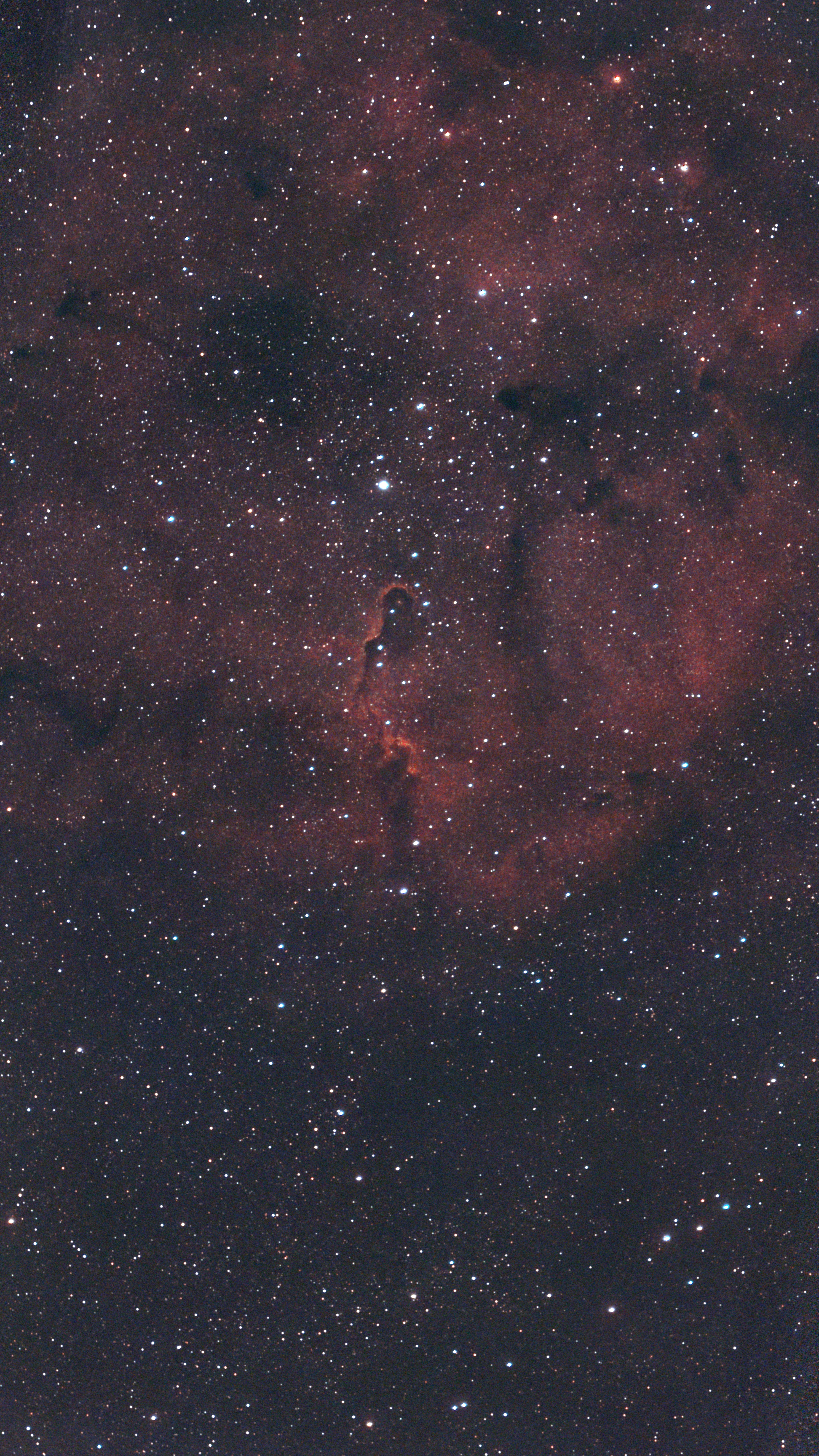 Elephant’s Trunk Nebula: Full field